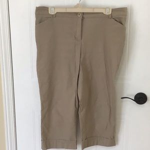 Reitmans capri pants